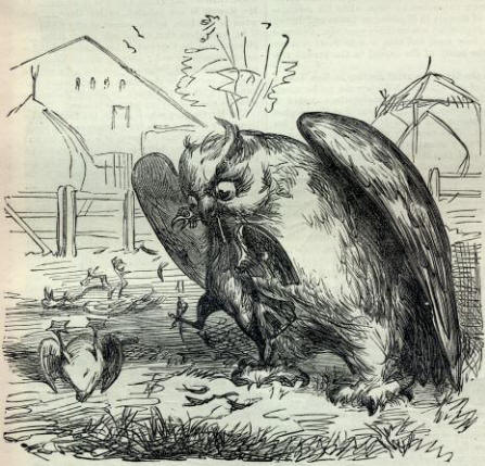 Cock and Owl Fable
