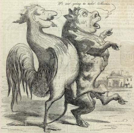 Cock and Bull Cartoon