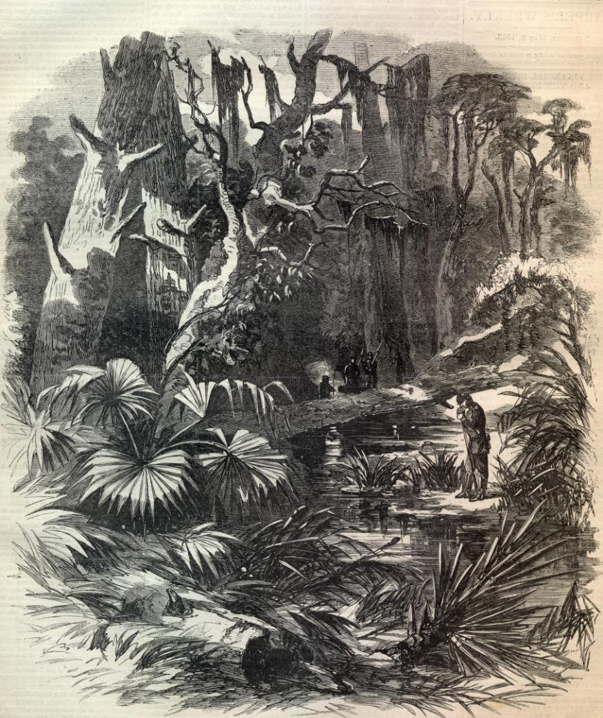 [Image: louisiana-swamp-soldier.jpg]