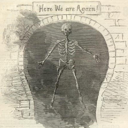 Skeleton Cartoon