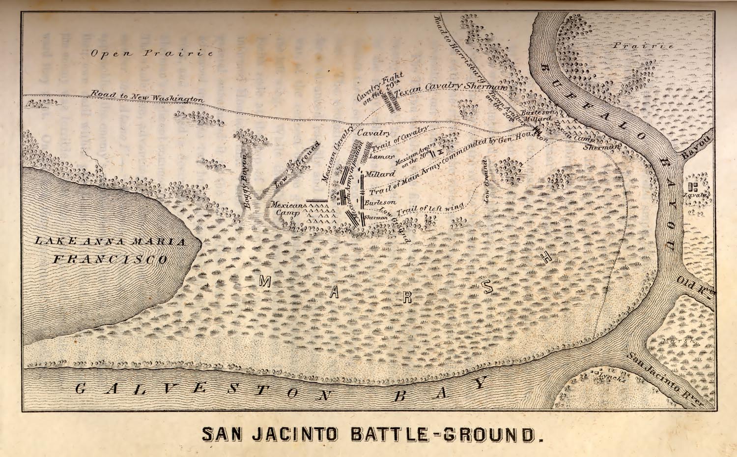 San Jacinto Battle Map